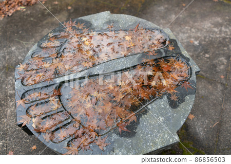 菅後大法寺 菅後大法寺 86856503