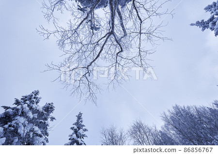 冬季北阿爾卑斯山的霧凇 86856767