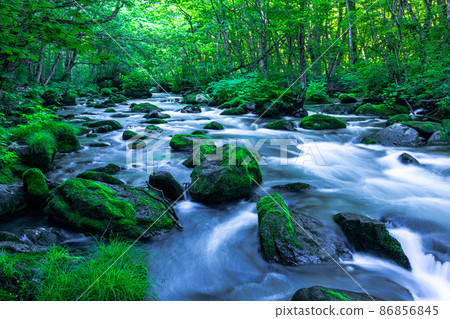 【青森縣_奧入瀨溪】初夏的三亂流 86856845