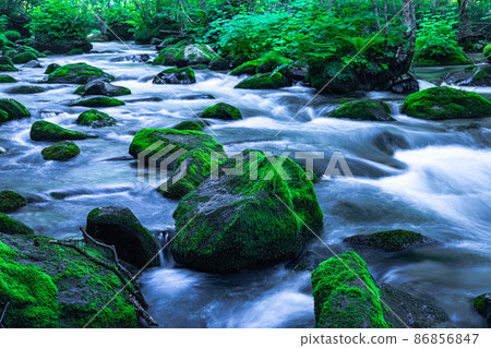 [Aomori Prefecture_Oirase Gorge] Sanran flow in early summer 86856847