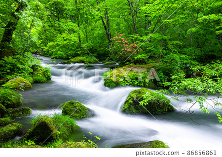 [Aomori Prefecture_Oirase Gorge] Sanran flow in early summer 86856861