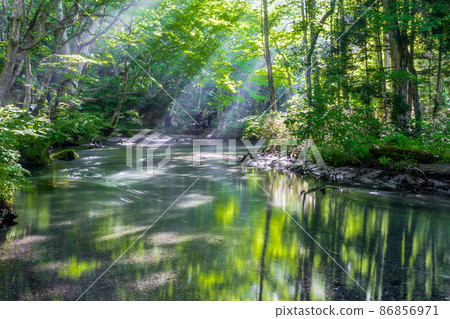 [Aomori Prefecture_Oirase Gorge] Refreshing early summer Ishigedo-no-se in June 86856971