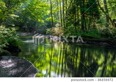 [Aomori Prefecture_Oirase Gorge] Refreshing early summer Ishigedo-no-se in June 86856972