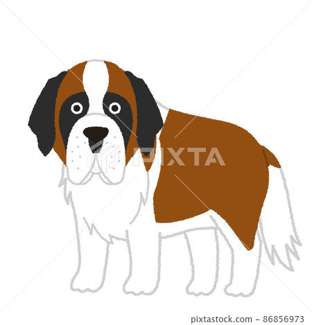 St. Bernard dog illustration 86856973