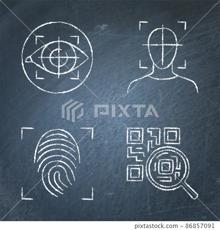 Biometric scan chalkboard icon set 86857091