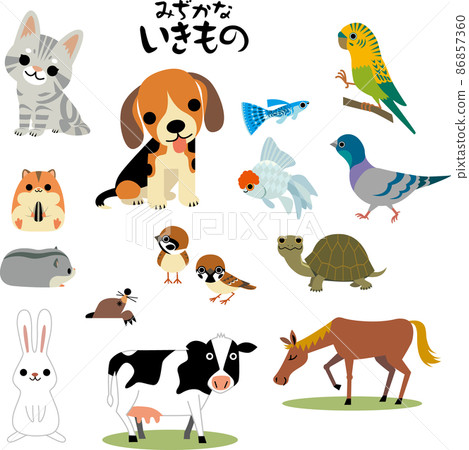 Familiar creatures 86857360