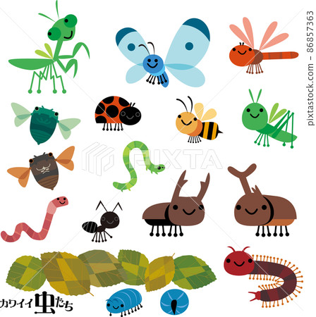 Insects 86857363