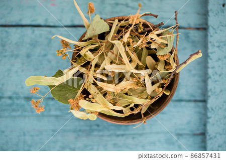 Dry linden flowers, top view Dry linden flowers, top view 86857431