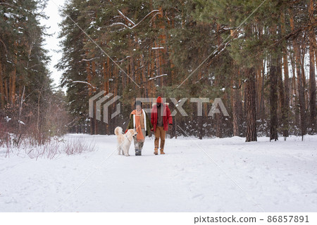 Winter walking with dog in the forest 86857891