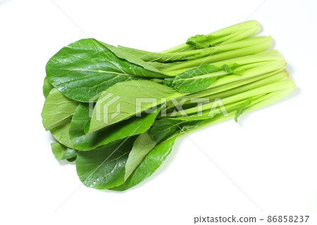 日本芥末菠菜，白色背景 86858237
