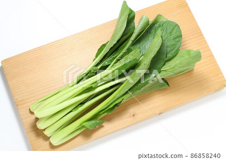 Japanese mustard spinach, white background 86858240