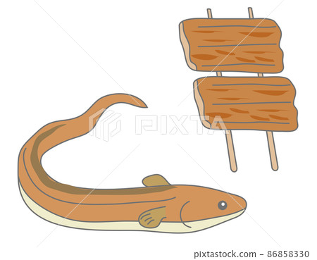 Conger eel skewers 86858330