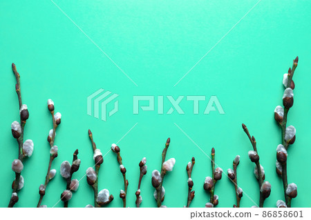 Spring Easter top view background with willow twigs Spring Easter top view background with willow twigs 86858601