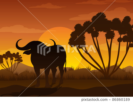 Buffalo silhouette at savanna forest Buffalo silhouette at savanna forest 86860189