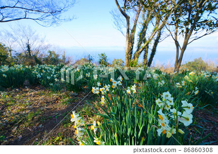 Scenery of the summit of Oishiyama, the highest peak of Mushima, the southernmost tip of Okayama Prefecture 6 Kasaoka City, Okayama Prefecture 86860308