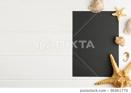 Board with mollusk seashells on the board. 86861770