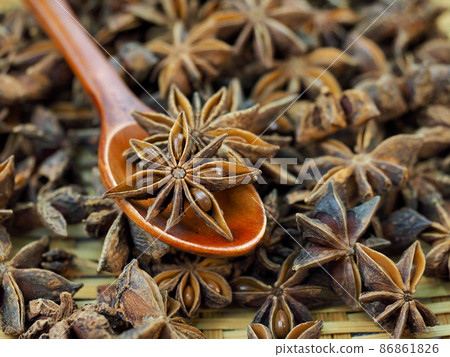dried spice star anise hall, food, octagonal incense dried spice star anise hall, food, octagonal incense 86861826