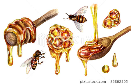 Watercolor Illustration of Honey Dipper with Golden Honey Pouring into Wooden Spoon Isolated on White. 86862305