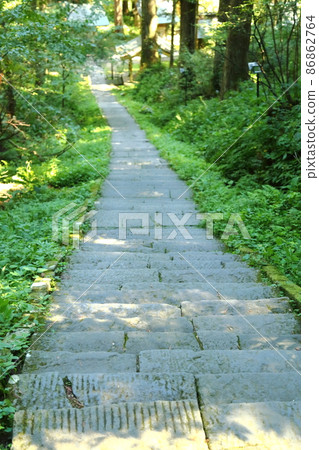 The approach to Dewa Miyama Shrine 86862764