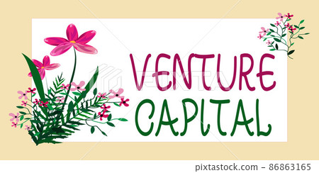 Text caption presenting Venture Capital. Concept meaning Venture Capital Frame Decorated With Colorful Flowers And Foliage Arranged Harmoniously. Text caption presenting Venture Capital. Concept meaning Venture Capital Frame Decorated With Colorful Flowers And Foliage Arranged Harmoniously. 86863165