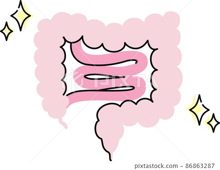 Illustration of intestinal environment 86863287