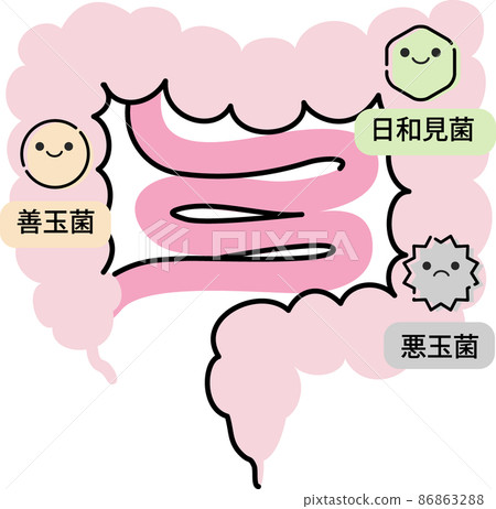 腸環境的例證 腸環境的例證 86863288