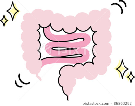 Illustration of intestinal environment 86863292