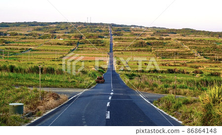 反映清晨日出的奄美群島喜凱島糖路 86864148