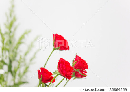 The room was brightened by cut flowers of carnation with gypsophila. The room was brightened by cut flowers of carnation with gypsophila. 86864369