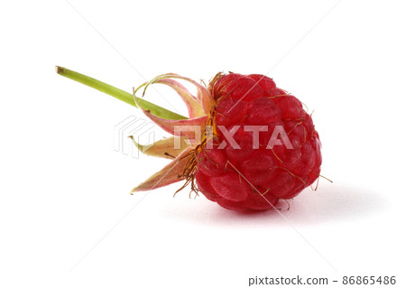 Raspberry 86865486