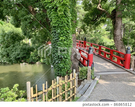 Shinkyo Bridge with fresh greenery [Ryujobori Moat, Okazaki Castle Park/Okazaki City, Aichi Prefecture] 86865812