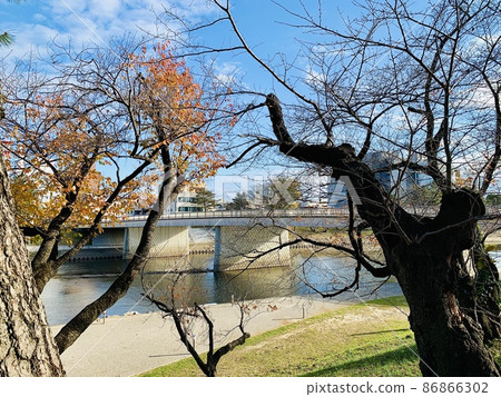 Sakuragibashi and riverbed [Otogawa / Okazaki City, Aichi Prefecture] 86866302