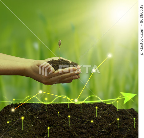 a female hand holds a handful of earth with a young green seedling of a plant against the background of a holographic graph with growing indicators. The concept of high profitability, business growth a female hand holds a handful of earth with a young green seedling of a plant against the background of a holographic graph with growing indicators. The concept of high profitability, business growth 86866538