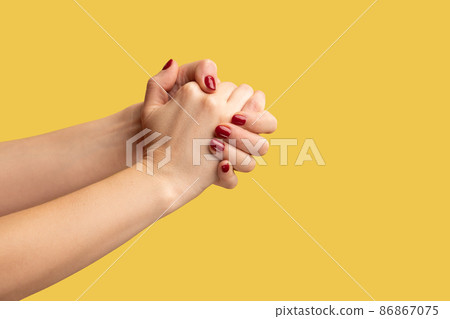 Closeup profile side view of right and left woman palms are connected in lock, support and togetherness. Indoor studio shot isolated on yellow background. Closeup profile side view of right and left woman palms are connected in lock, support and togetherness. Indoor studio shot isolated on yellow background. 86867075