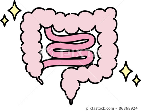 Illustration of intestine 86868924