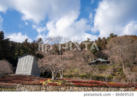 [Osaka] Katsuo-ji Temple 86869520