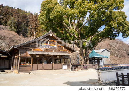 [大阪] 勝尾寺 86870772