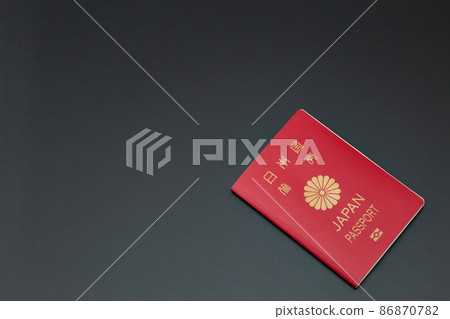 Passport black back 86870782