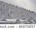 Zao：樹冰 86870897