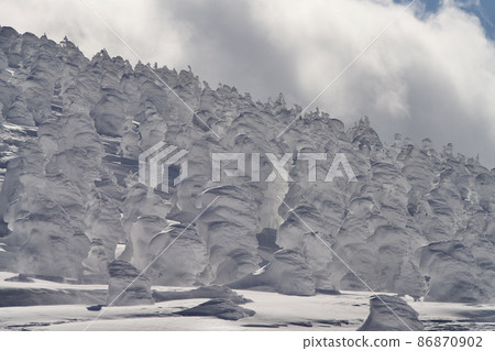 Zao: Tree ice Zao: Tree ice 86870902