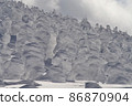 Zao：樹冰 86870904