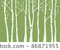 birch tree forest, vector background illustration 86871955
