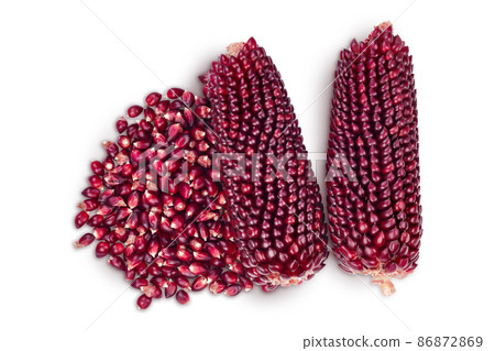 Purple corn or maize with seeds isolated on white background with clipping path and full depth of field. Top view. Flat lay Purple corn or maize with seeds isolated on white background with clipping path and full depth of field. Top view. Flat lay 86872869