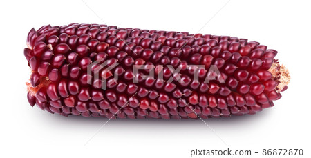 Purple corn or maize isolated on white background with clipping path and full depth of field Purple corn or maize isolated on white background with clipping path and full depth of field 86872870
