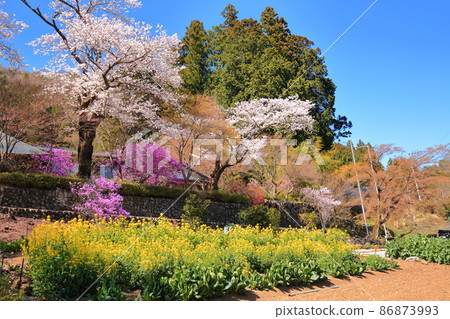 流水院(秋留野市)佐倉 流水院(秋留野市)佐倉 86873993