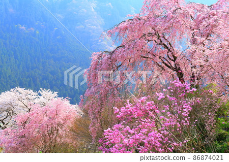 流水院（秋留野市）佐倉 86874021