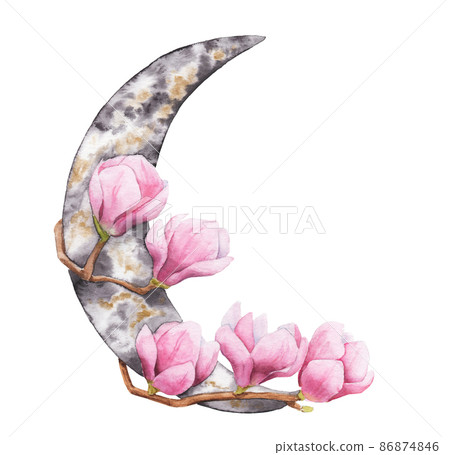 watercolor drawing of a crescent moon and flowers watercolor drawing of a crescent moon and flowers 86874846