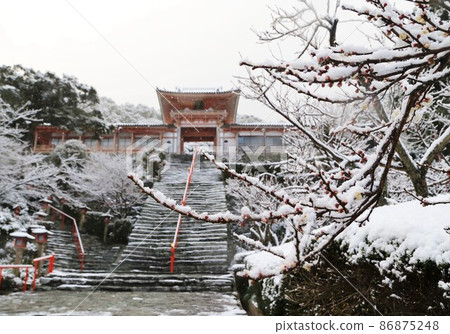 Snow Wakaura Temmangu Shrine (God of learning) and plum buds 86875248