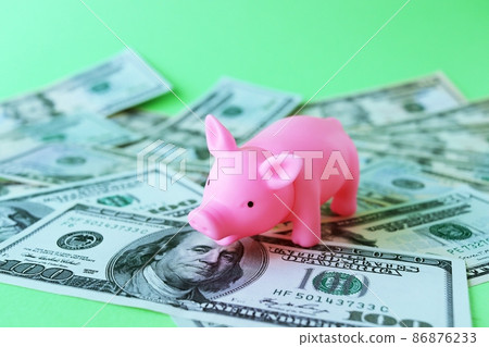 Pink piggy bank, against the background of dollar bills, the concept of the accumulation of wealth, the development of finance Pink piggy bank, against the background of dollar bills, the concept of the accumulation of wealth, the development of finance 86876233