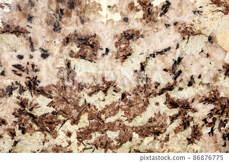 Beige, brown marble with black blotches, beautiful color and texture of polished crystals. Beige, brown marble with black blotches, beautiful color and texture of polished crystals. 86876775